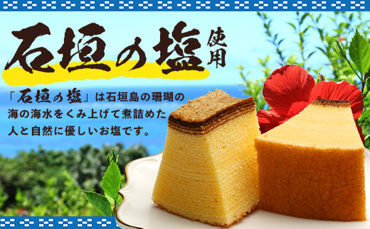 石垣島 やし屋手作り 石垣の塩 バウムクーヘン　直径15cm以上×2箱【 沖縄県 石垣市 石垣島 石垣の塩 菓子 バウムクーヘン さとうきび 】YA-2
