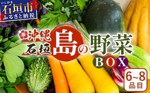 石垣島産 野菜 BOX　1箱 ≪定番・旬の野菜６~８種類≫ 野菜パワーをあなたに！！｜野菜セット おまかせセット 旬 季節のお野菜 旬の野菜セット 詰め合わせ 島野菜 沖縄県 石垣市 石垣島 CK-1