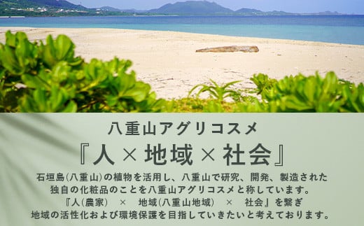 オーガニックオンリーシャンプー よもぎ＆ミント （パウチタイプ） 【 美容 石鹸 オーガニック 無添加 】 OR-2