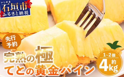 《2026年5月中旬以降順次発送》香りに溺れる！？ 完熟の極 てとの黄金パイン大玉約4kg【 沖縄 石垣 ゴールデン 黄金 パイン パイナップル 完熟 大玉 セット フルーツ デザート 】TF-25_R8