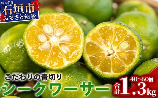 【先行予約】≪2026年8月以降順次発送≫こだわりの青切りシークワーサー 1.3kg 約40～60個 【 産地直送 沖縄 石垣島 石垣 八重山 シークワーサー 柑橘 フルーツ くだもの 果物 】TF-041