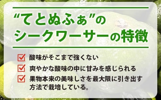 【先行予約】≪2026年8月以降順次発送≫こだわりの青切りシークワーサー 1.3kg 約40～60個 【 産地直送 沖縄 石垣島 石垣 八重山 シークワーサー 柑橘 フルーツ くだもの 果物 】TF-041