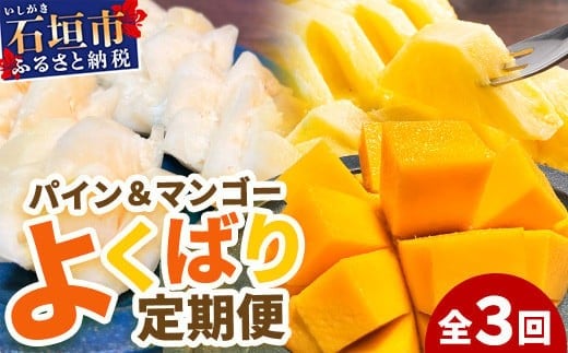 ã2026幎5æïœ7æé 次çºéããå
è¡äºçŽãå³¶ã®ãããããèŽ
æ²¢ã«ïŒãã€ãããã«2çš®ãšãã³ãŽãŒ1çš®ã®ããã°ãå®æäŸ¿ã æ²çž ç³å£ ããŒã ãã³ãŽãŒ ãã€ã³ ãã€ãããã« å®ç ã»ãã ãã«ãŒã ãã¶ãŒã é£ã¹æ¯ã¹ å®æäŸ¿ ã TF-38_R8