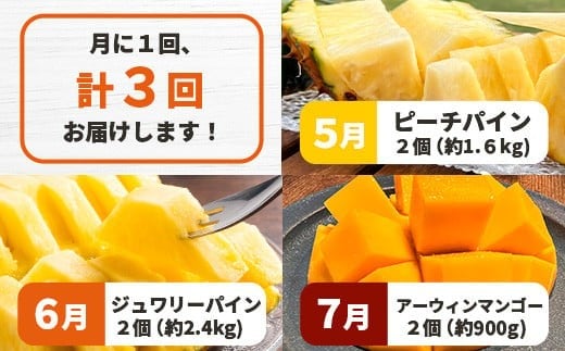 ã2026幎5æïœ7æé 次çºéããå
è¡äºçŽãå³¶ã®ãããããèŽ
æ²¢ã«ïŒãã€ãããã«2çš®ãšãã³ãŽãŒ1çš®ã®ããã°ãå®æäŸ¿ã æ²çž ç³å£ ããŒã ãã³ãŽãŒ ãã€ã³ ãã€ãããã« å®ç ã»ãã ãã«ãŒã ãã¶ãŒã é£ã¹æ¯ã¹ å®æäŸ¿ ã TF-38_R8