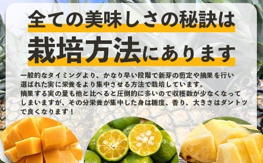 ã2026幎5æïœ7æé 次çºéããå
è¡äºçŽãå³¶ã®ãããããèŽ
æ²¢ã«ïŒãã€ãããã«2çš®ãšãã³ãŽãŒ1çš®ã®ããã°ãå®æäŸ¿ã æ²çž ç³å£ ããŒã ãã³ãŽãŒ ãã€ã³ ãã€ãããã« å®ç ã»ãã ãã«ãŒã ãã¶ãŒã é£ã¹æ¯ã¹ å®æäŸ¿ ã TF-38_R8