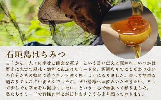 石垣島産 (人類最古のお酒) 蜂蜜酒『琉球ＭＥＡＤ蜜』500㎖×1本 【 石垣産 石垣 沖縄 お酒 酒 はちみつ酒 】HC-5