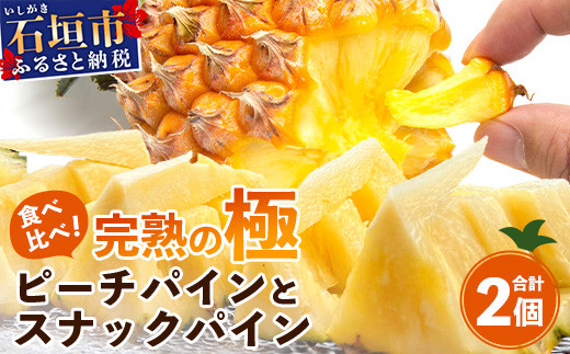 《2026年4月～6月順次発送》【先行予約】最高糖度20度以上！？ 完熟の極 石垣島産ピーチパインとスナックパインの食べ比べセット【 沖縄 石垣 ピーチ スナック パイン パイナップル 完熟 セット フルーツ デザート 食べ比べ 】TF-33_R8