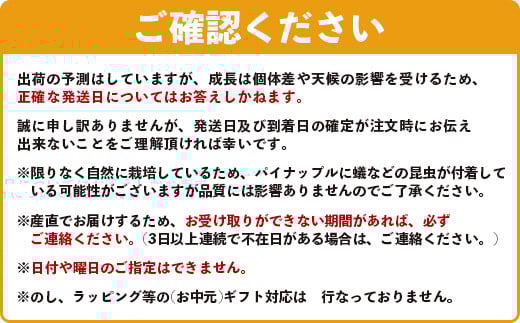 《2026年4月～6月順次発送》【先行予約】最高糖度20度以上！？ 完熟の極 石垣島産ピーチパインとスナックパインの食べ比べセット【 沖縄 石垣 ピーチ スナック パイン パイナップル 完熟 セット フルーツ デザート 食べ比べ 】TF-33_R8