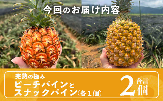 《2026年4月～6月順次発送》【先行予約】最高糖度20度以上！？ 完熟の極 石垣島産ピーチパインとスナックパインの食べ比べセット【 沖縄 石垣 ピーチ スナック パイン パイナップル 完熟 セット フルーツ デザート 食べ比べ 】TF-33_R8