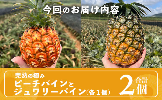 《2026年5月～7月順次発送》【先行予約】最高糖度20度以上！？ 完熟の極 石垣島産ピーチパインとジュワリーパインの食べ比べセット【 沖縄 石垣 ジュワリー ピーチ パイン パイナップル 完熟 セット フルーツ デザート 食べ比べ 】 TF-32_R8