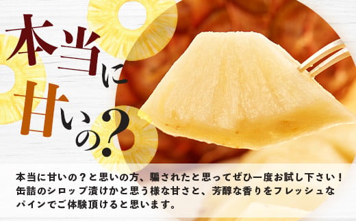 《2026年5月中旬以降順次発送》【先行予約】香りに溺れる！？ 完熟の極 てとの黄金パイン大玉約2kg【 沖縄 石垣 ゴールデン パイン パイナップル 完熟 セット フルーツ デザート オリジナル 】 TF-31_R8