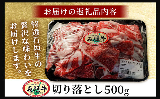 石垣牛・切り落とし 500g 冷凍便 | 沖縄県 石垣市 牛肉 お肉 切落し 小間切れ 牛小間切れ SI-88