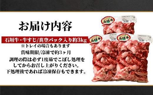 石垣牛・牛すじ ３kg （1kg×3） 冷凍便【 沖縄県 石垣市 牛肉 お肉 牛スジ 牛筋 煮込み おでん カレー 】 SI-86