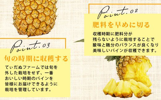 ïŒæééå® æ¥ãã§ã¢ïŒã2026幎4æäžæ¬é ããé æ¬¡çºéãïŒå
è¡äºçŽïŒ ç³å£å³¶ç£ ããŽãŒã«ãã€ã³ 3ã4ç çŽ2kgä»¥äž | ç£å°çŽé ç³å£å³¶ç£ ç³å£ å®ç ãã€ã³ ãã€ãããã« ã¹ããã¯ãã€ã³ ããŽãŒã«