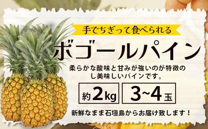 ïŒæééå® æ¥ãã§ã¢ïŒã2026幎4æäžæ¬é ããé æ¬¡çºéãïŒå
è¡äºçŽïŒ ç³å£å³¶ç£ ããŽãŒã«ãã€ã³ 3ã4ç çŽ2kgä»¥äž | ç£å°çŽé ç³å£å³¶ç£ ç³å£ å®ç ãã€ã³ ãã€ãããã« ã¹ããã¯ãã€ã³ ããŽãŒã«