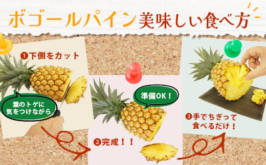 ïŒæééå® æ¥ãã§ã¢ïŒã2026幎4æäžæ¬é ããé æ¬¡çºéãïŒå
è¡äºçŽïŒ ç³å£å³¶ç£ ããŽãŒã«ãã€ã³ 3ã4ç çŽ2kgä»¥äž | ç£å°çŽé ç³å£å³¶ç£ ç³å£ å®ç ãã€ã³ ãã€ãããã« ã¹ããã¯ãã€ã³ ããŽãŒã«