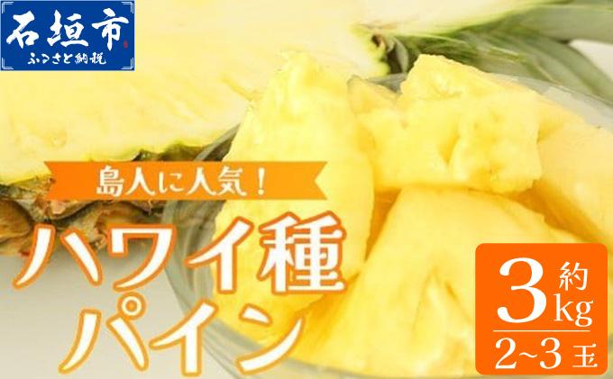 《2026年7月上旬頃より順次発送》＜先行予約＞ 石垣島産 ハワイ種パイン 2〜3玉 約3kg | 産地直送 石垣島産 石垣 完熟 パイン パイナップル