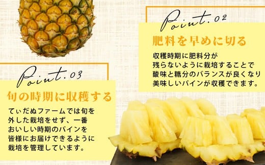 【先行予約】《2026年7月上旬頃より順次発送》石垣島産 ハワイ種パイン 2～3玉セット 約3㎏【 産地直送 石垣島産 石垣 完熟 パイン パイナップル 】TD-6