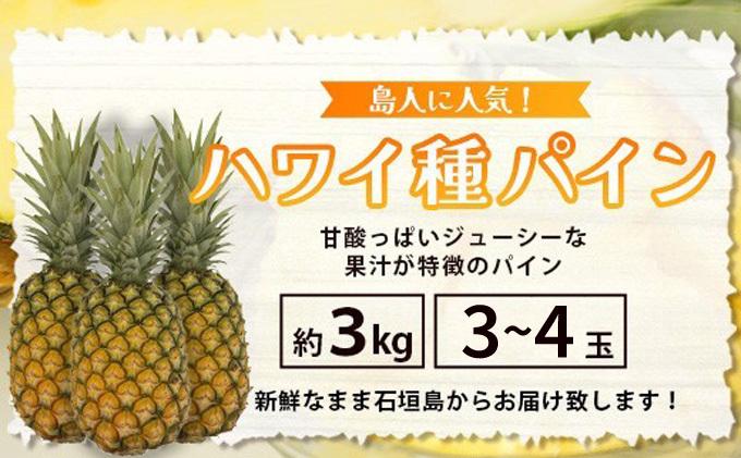 ＜期間限定 春フェア＞《2026年7月上旬頃より順次発送》石垣島産 ハワイ種パイン 3〜4玉 3kg以上 | 産地直送 石垣島産 石垣 完熟 パイン パイナップル