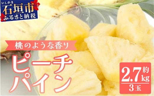 【先行予約】《2026年5月下旬頃より順次発送》石垣島産 ピーチパイン 3玉 約2.7kg【 産地直送 石垣島産 石垣 完熟 パイン パイナップル 】TD-011
