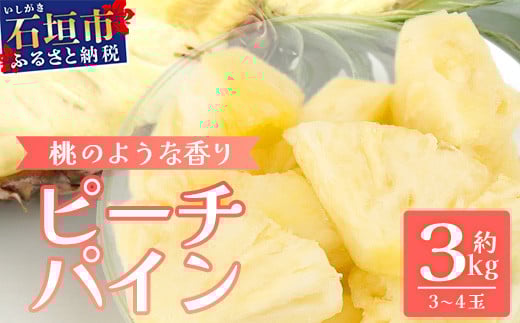 【先行予約】《2026年5月下旬頃より順次発送》石垣島産 ピーチパイン 3～4玉セット 約3㎏【 産地直送 石垣島産 石垣 完熟 パイン パイナップル 】TD-5