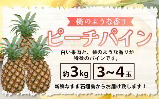 【先行予約】《2026年5月下旬頃より順次発送》石垣島産 ピーチパイン 3～4玉セット 約3㎏【 産地直送 石垣島産 石垣 完熟 パイン パイナップル 】TD-5