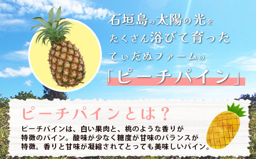 【先行予約】《2026年5月下旬頃より順次発送》石垣島産 ピーチパイン 3～4玉セット 約3㎏【 産地直送 石垣島産 石垣 完熟 パイン パイナップル 】TD-5