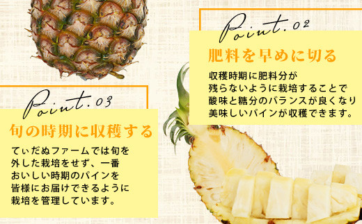 【先行予約】《2026年5月下旬頃より順次発送》石垣島産 ピーチパイン 3～4玉セット 約3㎏【 産地直送 石垣島産 石垣 完熟 パイン パイナップル 】TD-5