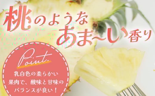 【先行予約】《2026年5月下旬頃より順次発送》石垣島産 ピーチパイン 3～4玉セット 約3㎏【 産地直送 石垣島産 石垣 完熟 パイン パイナップル 】TD-5