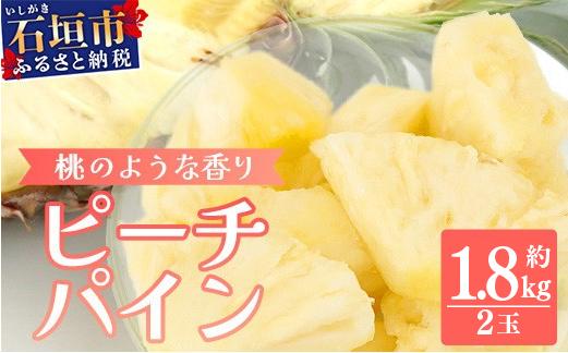 【先行予約】《2026年5月下旬頃より順次発送》石垣島産 ピーチパイン 2玉 約1.8kg【 産地直送 石垣島産 石垣 完熟 パイン パイナップル 】TD-010