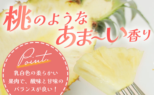 ïŒæééå® æ¥ãã§ã¢ïŒïŒå
è¡äºçŽïŒ ç³å£å³¶ç£ ããŒããã€ã³ 3ã4ç çŽ2kg ïŒ2026幎5æäžæ¬çºéïŒ | ç£å°çŽé ç³å£å³¶ç£ ç³å£ å®ç ãã€ã³ ãã€ãããã« éæç¡æ