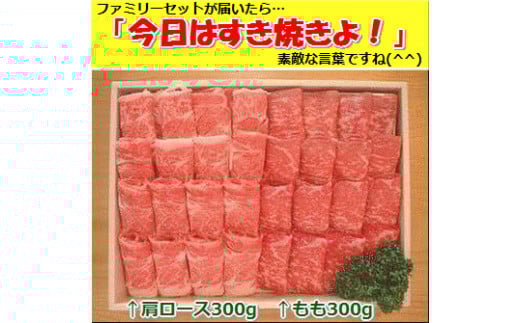 石垣牛・すき焼きファミリーセット300g×2種 計600g もも+肩ロース 冷凍便 | 沖縄県 石垣市 牛肉 お肉 すきやき スキヤキ 鍋  SI-085