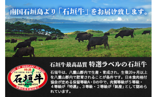 石垣牛・すき焼きファミリーセット300g×2種 計600g もも+肩ロース 冷凍便 | 沖縄県 石垣市 牛肉 お肉 すきやき スキヤキ 鍋  SI-085
