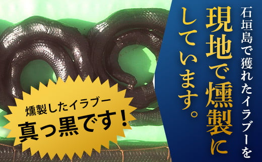 石垣島産「イラブー(海ヘビ)」粉末 120粒入り×２袋　健康補助食品・約２ヶ月分【 海へび 海蛇 栄養補助食品 サプリメント サプリ 錠 粒 アミノ酸 ミネラル ビタミン 】SI-73