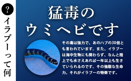 石垣島産「イラブー(海ヘビ)」粉末 120粒入り×２袋　健康補助食品・約２ヶ月分【 海へび 海蛇 栄養補助食品 サプリメント サプリ 錠 粒 アミノ酸 ミネラル ビタミン 】SI-73