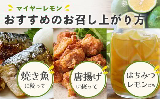 ãå
è¡äºçŽãâª2026幎8æä»¥éé æ¬¡çºéâ« ãã ããã®éåããã€ã€ãŒã¬ã¢ã³ çŽ2kg (12ïœ18å) ã æ²çž ç³å£ æ°ééå® ãã«ãŒã ã¬ã¢ã³ ãã€ã€ãŒ ã¡ã€ã€ãŒ ãã ãã ãTF-027