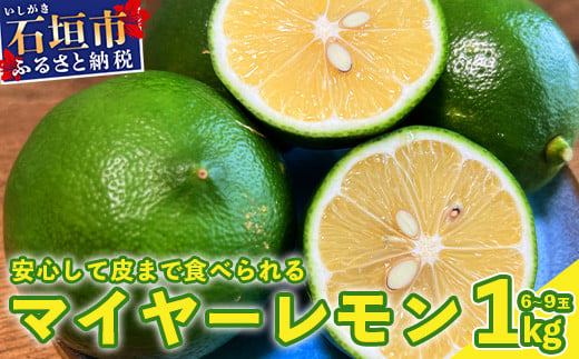 【先行予約】≪2026年8月以降順次発送≫こだわりの青切りマイヤーレモン 約1kg (6～9個) 【 沖縄 石垣 数量限定 フルーツ レモン マイヤー メイヤー こだわり 】TF-026