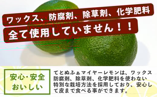 【先行予約】≪2026年8月以降順次発送≫こだわりの青切りマイヤーレモン 約1kg (6～9個) 【 沖縄 石垣 数量限定 フルーツ レモン マイヤー メイヤー こだわり 】TF-026