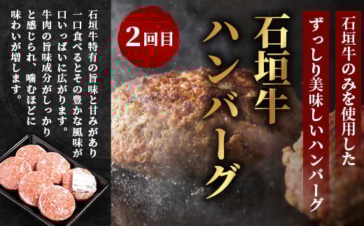 【全３回 定期便B】 石垣牛　切り落としスライス・ハンバーグ・肩ロースすきしゃぶ　計1.67kg（いしなぎ屋）【 特選肉 肉 高級 黒毛和牛 和牛 牛 】AB-30