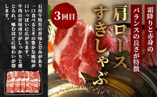【全３回 定期便B】 石垣牛　切り落としスライス・ハンバーグ・肩ロースすきしゃぶ　計1.67kg（いしなぎ屋）【 特選肉 肉 高級 黒毛和牛 和牛 牛 】AB-30