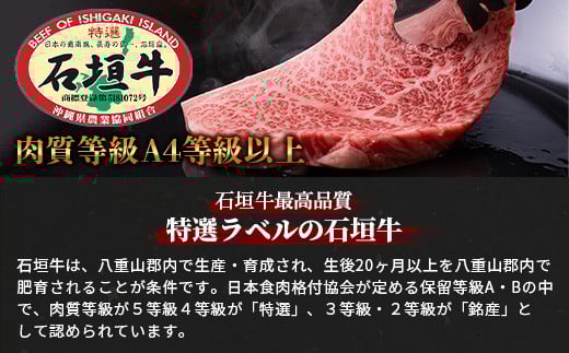 【全３回 定期便B】 石垣牛　切り落としスライス・ハンバーグ・肩ロースすきしゃぶ　計1.67kg（いしなぎ屋）【 特選肉 肉 高級 黒毛和牛 和牛 牛 】AB-30