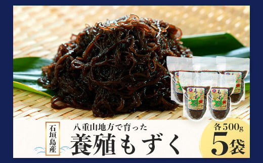 遏ウ蝙」蟲カ逕」 蜈ォ驥榊アア蝨ー譁ケ縺ァ閧イ縺」縺滄、頑ョ悶b縺壹¥5繝代ャ繧ッ繝サ蜀螳ケ驥500gテ5 蜷郁ィ2.5kg縲 豐也ク逵 遏ウ蝙」蟶 鬢頑ョ 豌エ髮イ 豬キ阯サ 繧ゅ★縺 繝輔さ繧、繝繝ウ 蝪ゥ繧ゅ★縺 螟ェ繧ゅ★縺 豐也ク繧ゅ★縺上全I-71