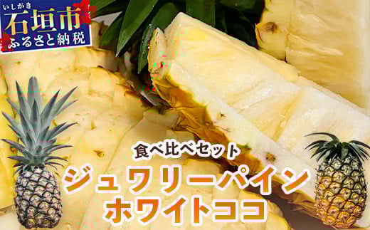 【マツコの知らない世界で絶賛！】《2026年5月～7月順次発送》最高糖度20度！？ 完熟の極 石垣島産ジュワリーパインとホワイトココの食べ比べセット 【 沖縄 石垣島 石垣 八重山 パイン ホワイト ジュワリー 期間限定 数量限定 TV テレビ 紹介 マツコ 】TF-20_R8