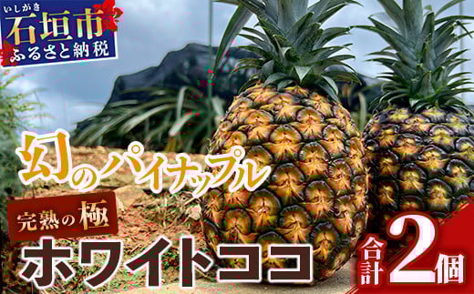 【マツコの知らない世界で絶賛！】《2026年5月以降順次発送》[先行予約] 最高糖度20度！？ 完熟の極 石垣島産幻のパイナップル ホワイトココ2個セット【 沖縄 石垣島 石垣 八重山 パイン パイナップル 期間限定 数量限定 TV テレビ 紹介 マツコ 】TF-2_R8