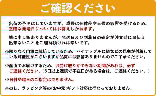 【マツコの知らない世界で絶賛！】《2026年5月以降順次発送》[先行予約] 最高糖度20度！？ 完熟の極 石垣島産幻のパイナップル ホワイトココ2個セット【 沖縄 石垣島 石垣 八重山 パイン パイナップル 期間限定 数量限定 TV テレビ 紹介 マツコ 】TF-2_R8