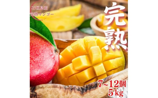 ïŒå
è¡äºçŽïŒ ç³å£å³¶ç£ å®çãã³ãŽãŒ çŽ5kg (7ïœ12åå
¥ã) ïŒ2026幎7æäžæ¬ä»¥éçºéïŒ | ç£å°çŽé æ²çž ç³å£ ãã«ãŒã ãã³ãŽãŒ ã¢ããã«ãã³ãŽãŒ å®çãã³ãŽãŒ SI-057