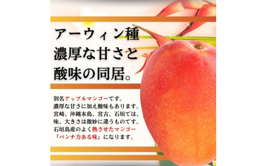 ïŒå
è¡äºçŽïŒ ç³å£å³¶ç£ å®çãã³ãŽãŒ çŽ5kg (7ïœ12åå
¥ã) ïŒ2026幎7æäžæ¬ä»¥éçºéïŒ | ç£å°çŽé æ²çž ç³å£ ãã«ãŒã ãã³ãŽãŒ ã¢ããã«ãã³ãŽãŒ å®çãã³ãŽãŒ SI-057