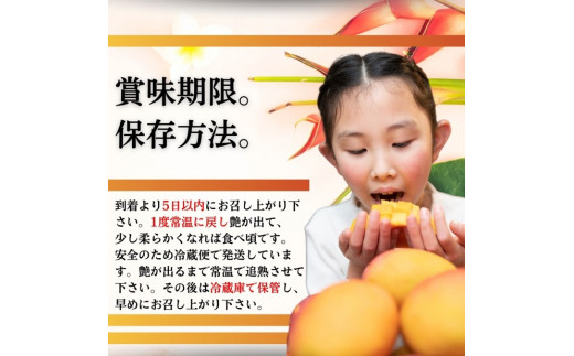 ïŒå
è¡äºçŽïŒ ç³å£å³¶ç£ å®çãã³ãŽãŒ çŽ5kg (7ïœ12åå
¥ã) ïŒ2026幎7æäžæ¬ä»¥éçºéïŒ | ç£å°çŽé æ²çž ç³å£ ãã«ãŒã ãã³ãŽãŒ ã¢ããã«ãã³ãŽãŒ å®çãã³ãŽãŒ SI-057