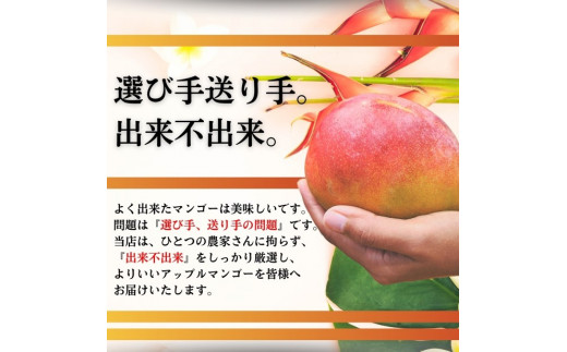 ïŒå
è¡äºçŽïŒ ç³å£å³¶ç£ å®çãã³ãŽãŒ çŽ5kg (7ïœ12åå
¥ã) ïŒ2026幎7æäžæ¬ä»¥éçºéïŒ | ç£å°çŽé æ²çž ç³å£ ãã«ãŒã ãã³ãŽãŒ ã¢ããã«ãã³ãŽãŒ å®çãã³ãŽãŒ SI-057