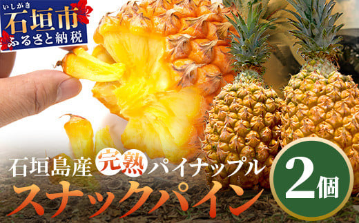 《2026年4月～6月発送》最高糖度18度！？ 石垣島産完熟スナックパイン 2個セット 【 沖縄県 石垣市 石垣島 完熟 パイン パイナップル スナック 産地直送 】TF-23_R8